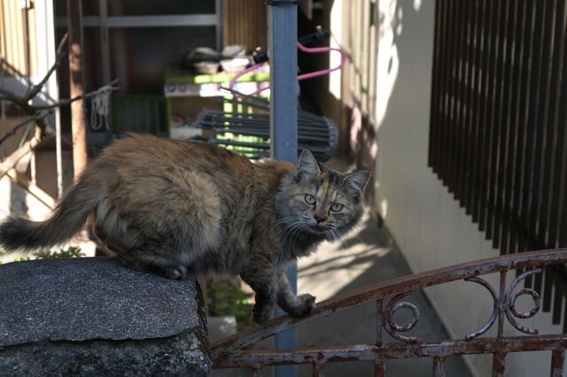 DSC_0128小.jpg