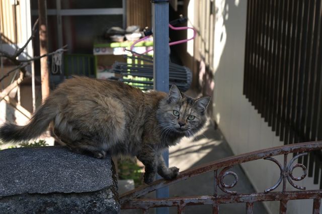 DSC_0128小.jpg