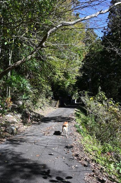 DSC_0152小.jpg