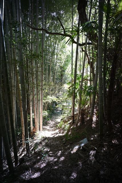 DSC_0183小.jpg