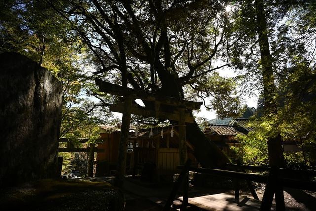 DSC_0186小.jpg