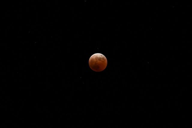 DSC_0262小.jpg