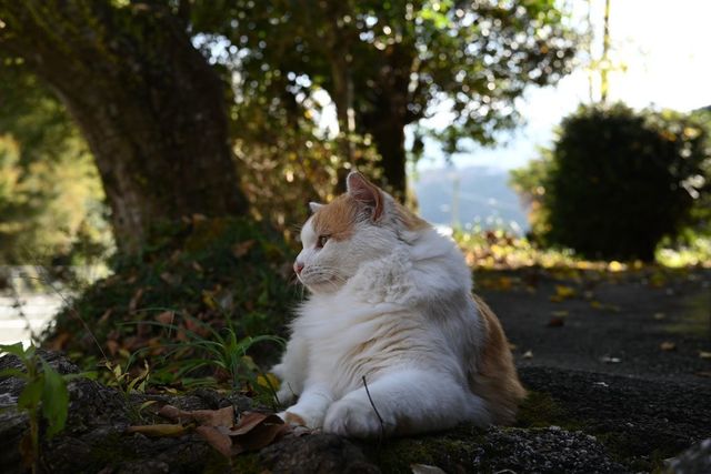 DSC_0372小.jpg
