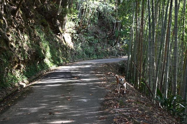 DSC_0391小.jpg