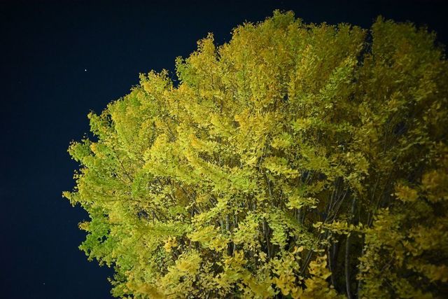 DSC_0438小.jpg