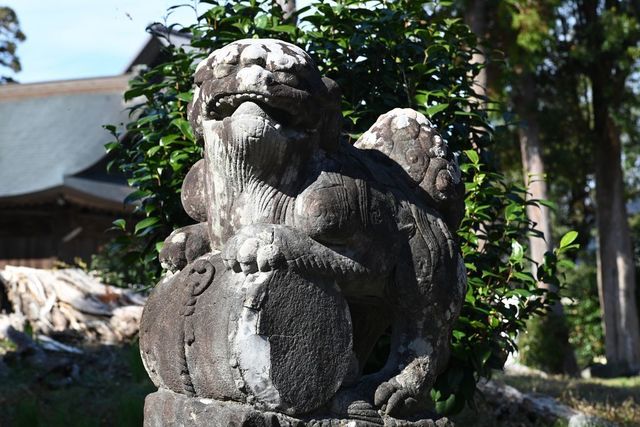 DSC_0565小.jpg