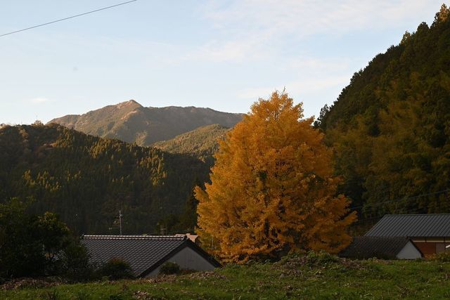 DSC_0645小.jpg