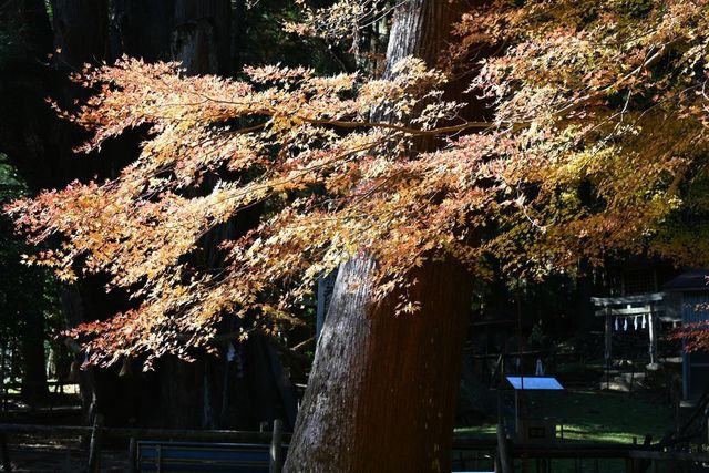 DSC_0655小.jpg