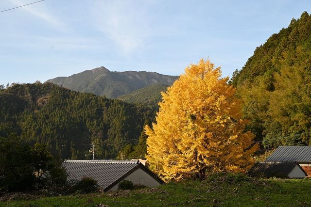 DSC_0657小.jpg