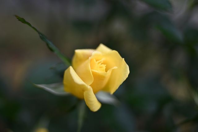 DSC_0745小.jpg