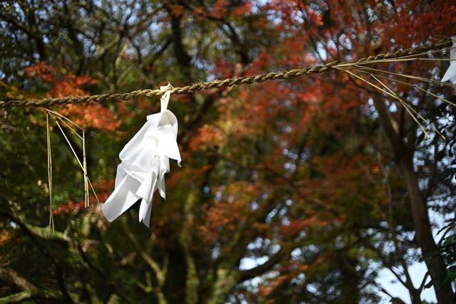 DSC_0751小.jpg
