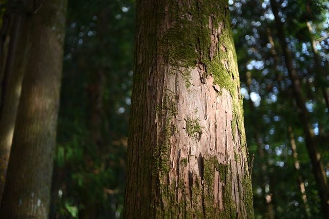 DSC_0755小.jpg