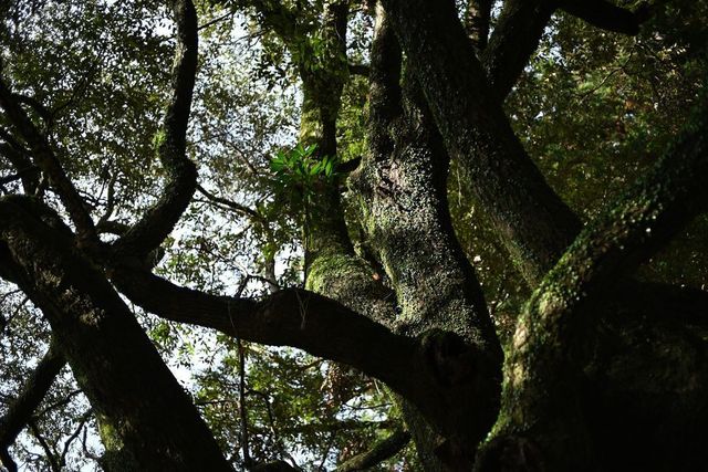 DSC_0762小.jpg