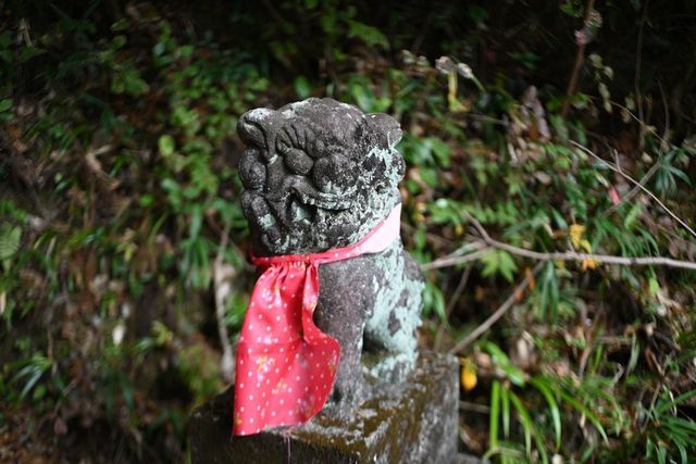 DSC_0765小.jpg