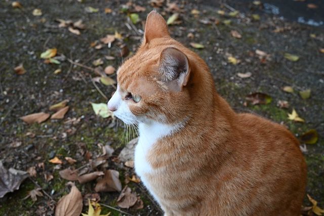 DSC_0854小.jpg