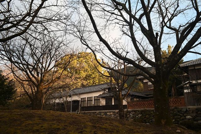 DSC_0978小.jpg