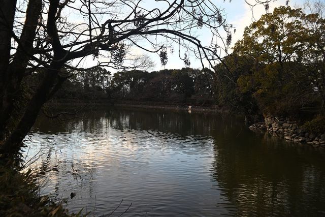 DSC_0987小.jpg