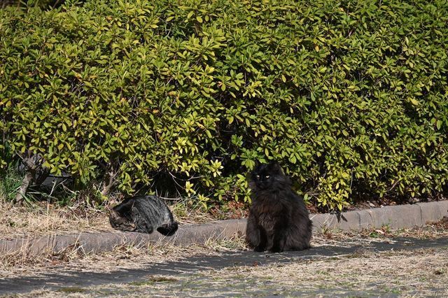 DSC_1104小.jpg