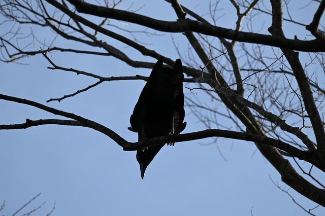 DSC_1164小.jpg