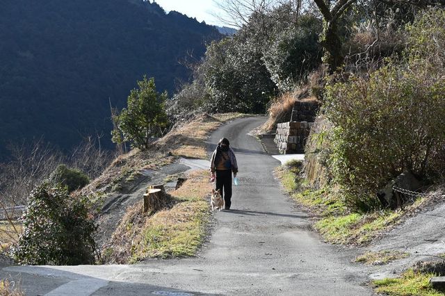 DSC_1205小.jpg