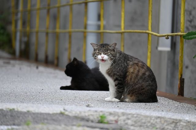 DSC_1329小.jpg