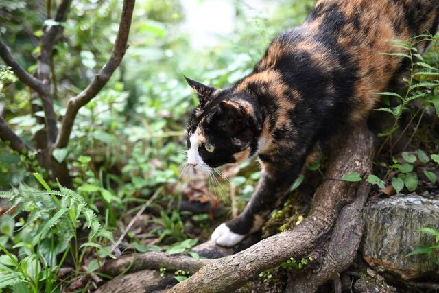 DSC_1361小.jpg