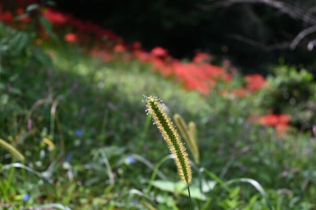 DSC_1404小.jpg