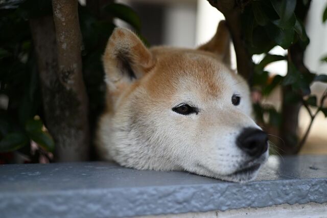 DSC_1710小.jpg