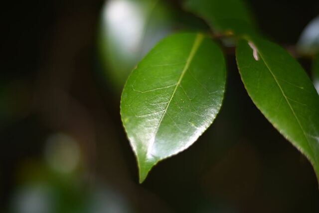 DSC_1743小.jpg