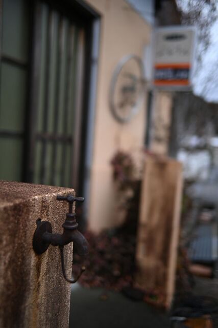 DSC_1794小.jpg