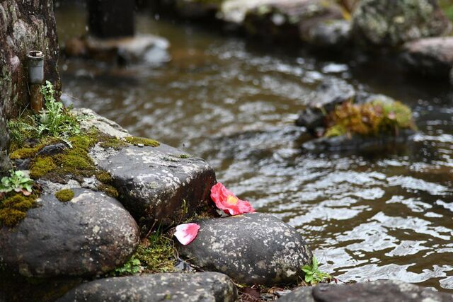 DSC_1965小.jpg