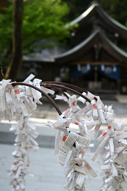 DSC_2224小.jpg