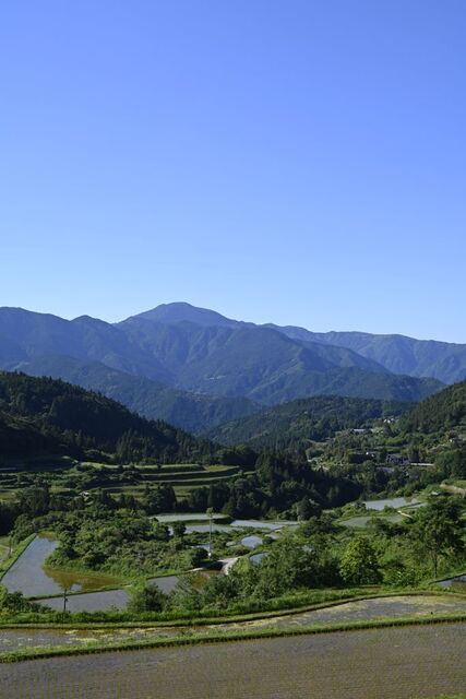 DSC_2484小.jpg