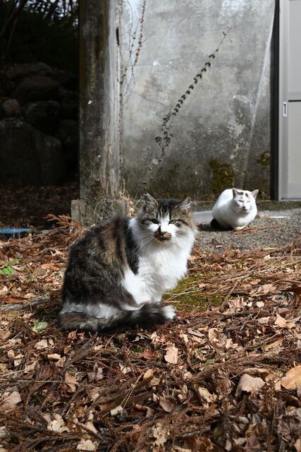 DSC_2651小.jpg