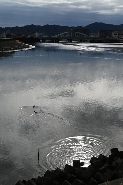 DSC_2678小.jpg