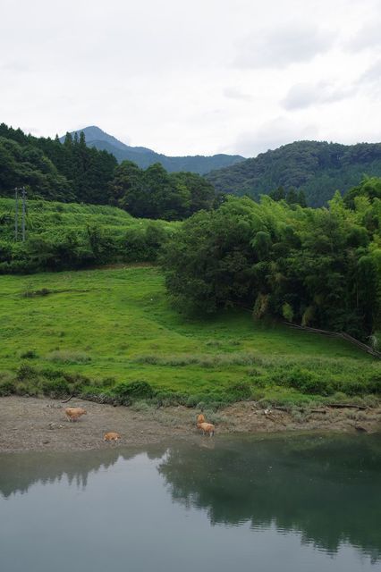 IMGP0646小.jpg