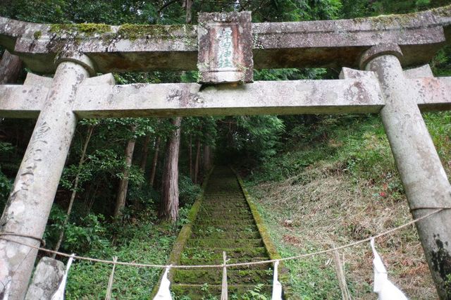 IMGP1814小.jpg