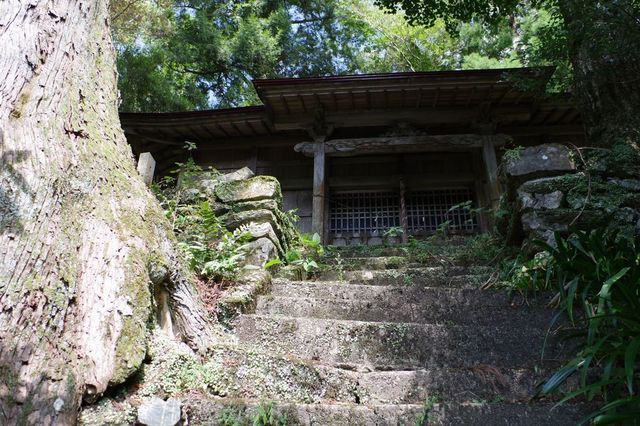 IMGP2136小.jpg