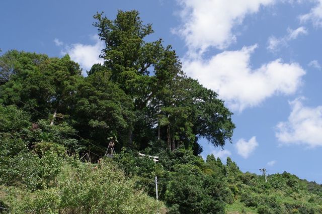 IMGP2160小.jpg