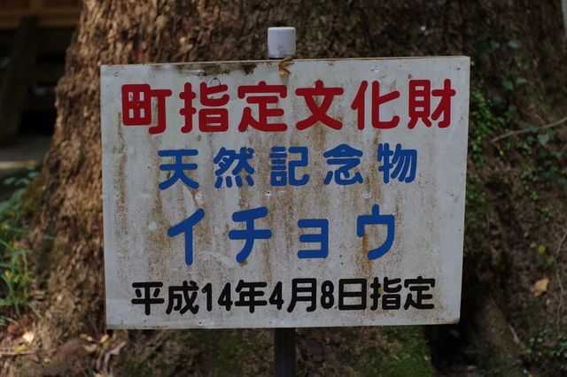 IMGP2217小.jpg