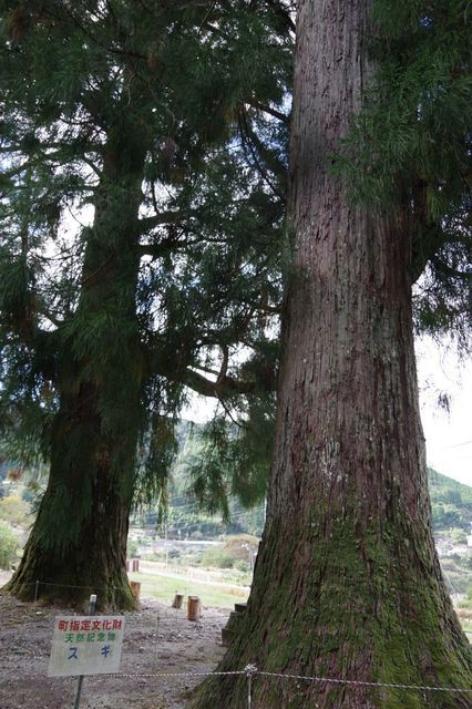 IMGP2415小.jpg