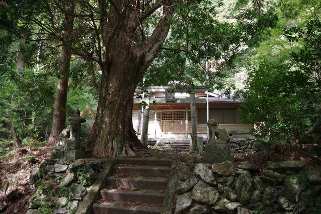 IMGP2497小.jpg