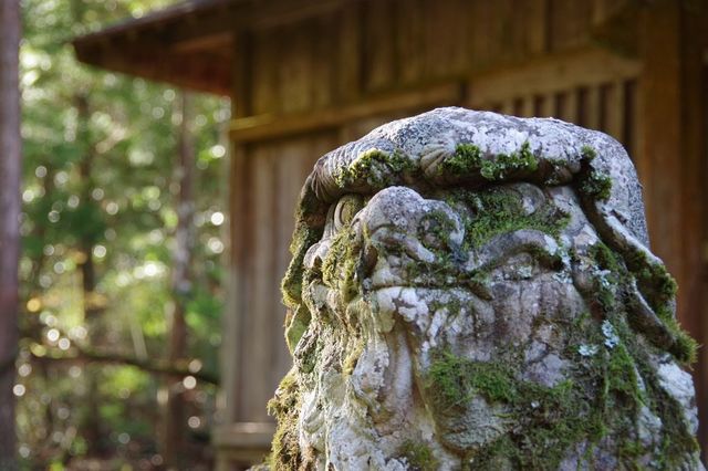 IMGP2865小.jpg