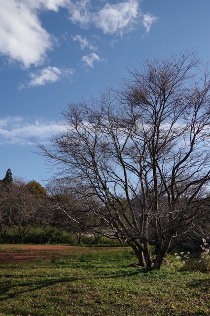 IMGP2976小.jpg