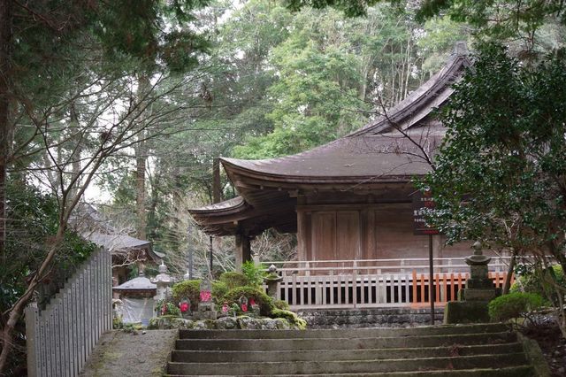 IMGP3256小.jpg