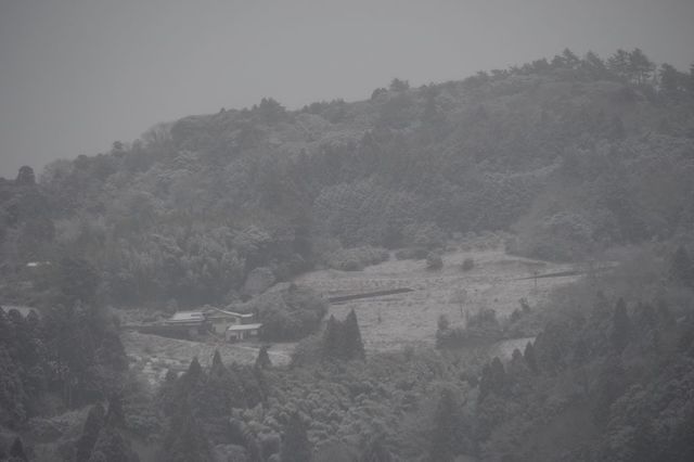 IMGP3286小.jpg