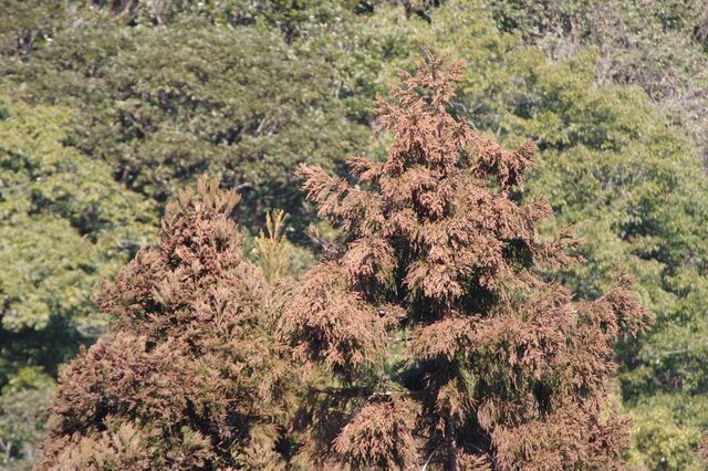 IMGP3370小.jpg
