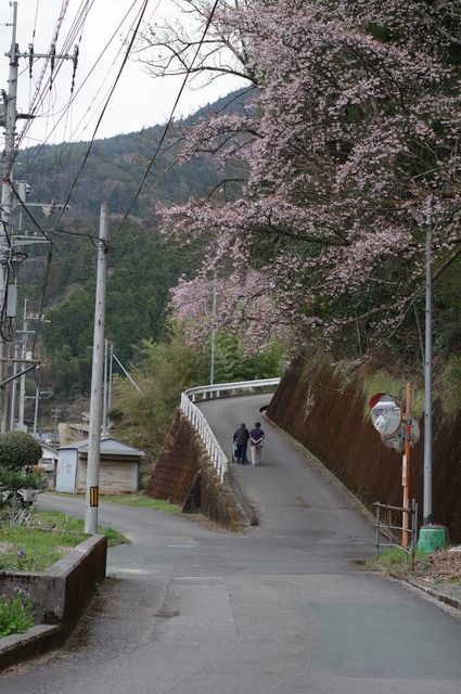 IMGP3782小.jpg