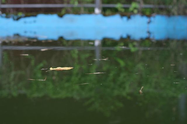IMGP3973小.jpg