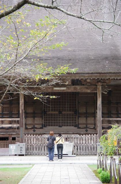 IMGP4591画小.jpg